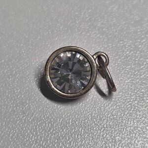 Swarovski and Stainless Steel Charm